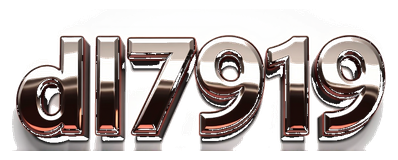 dl7919 logo
